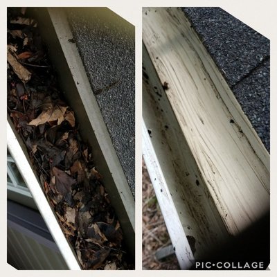 Gutter cleaning