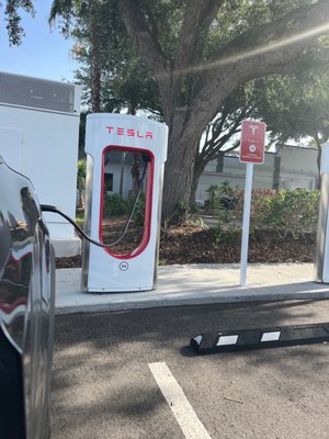 Tesla Supercharger- Palm Parkway