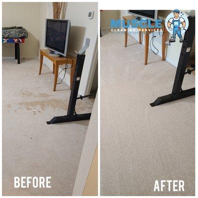 Water damage cleaning