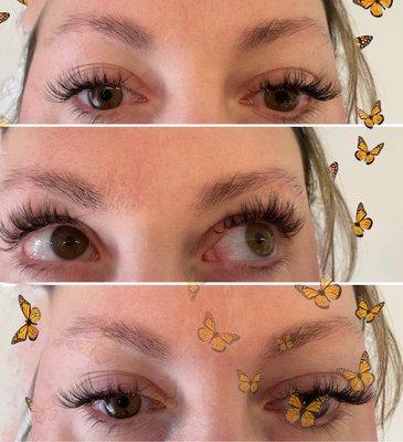 Natural Hybrid - Butterfly Lash $150