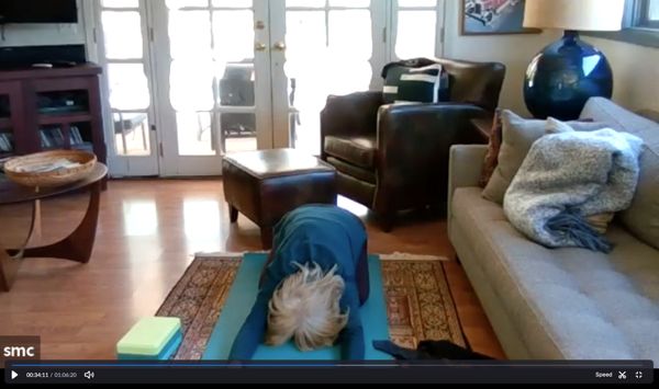 Online class via Zoom. Enjoy the benefits of yoga in the comfort of your own home!