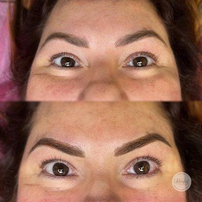 Annual touch up of Powder Brows