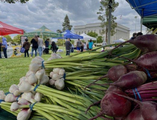 Farm fresh veggies