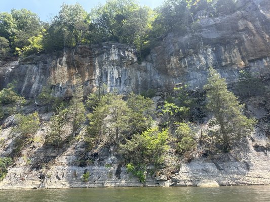 Shenandoah River Outfitters