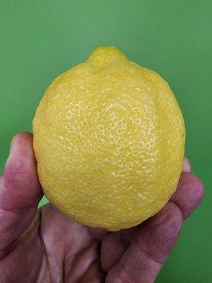 Great lemons