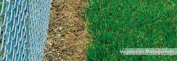 When weeds and unwanted grass build up around your plant or office, it can look unprofessional.  We'll help you reduce these costs.