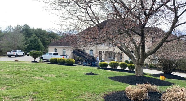 Spring clean up and mulch