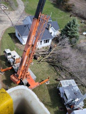 Climbin' Tough Tree Service