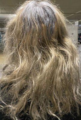 2/14/24, 5 days after salon visit