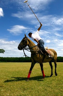 Learn to ride horses and play polo