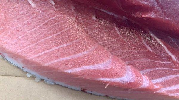 Toro ( Belly Tuna )