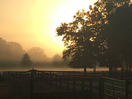 Cedar Creek Farm