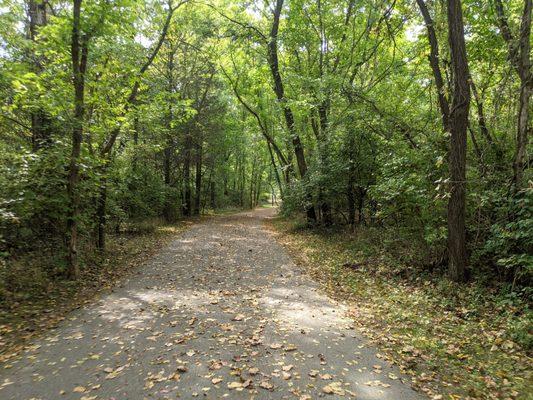 Early fall on the trails