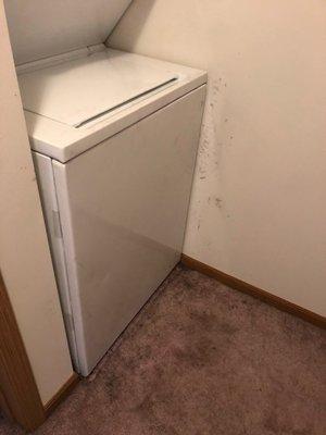 Mold, grease and dirt all over the walls, washer/dryer and carpet.