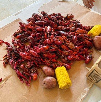 Crawfish Red Potato Cob Corn