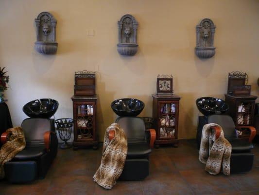 Bardot Boutique Hair Salon (Relaxing and Luxurious Shampoo Area)