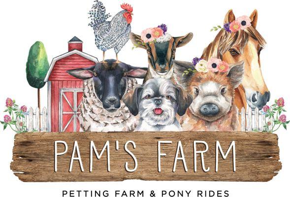 Pammy's Mobile Pony Parties & Petting Zoo