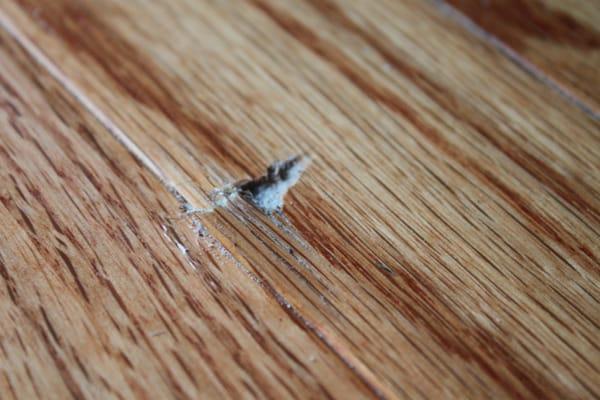 Damage caused by Fairway Installer to new hardwood floors