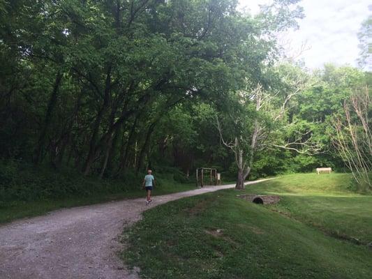 Beautiful Park Trail