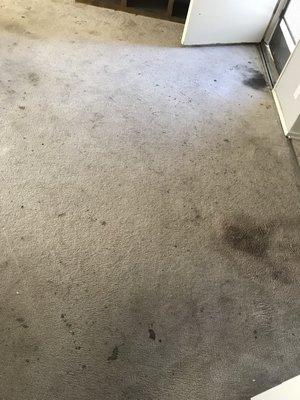 Before and after pictures from paint and toddler stains