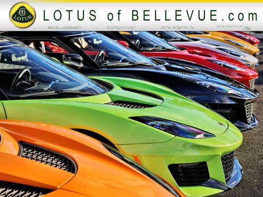 The Widest Selection in the USA! LotusOfBellevue.com  425-562-1000