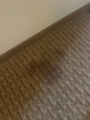 Additional stains on carpet