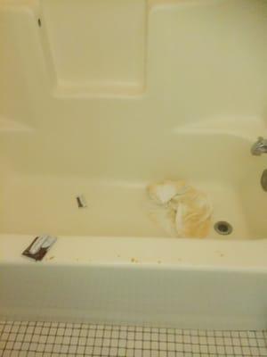 Disgusting bath tub