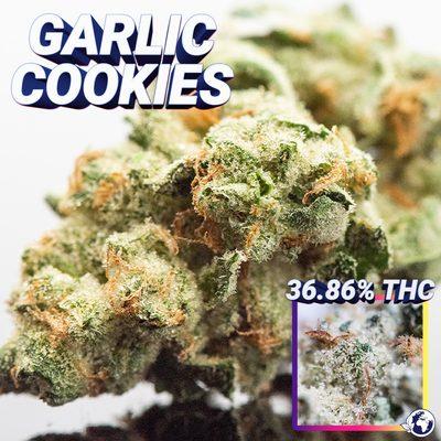 GHOST Garlic Cookies is Guaranteed To Blow Your Mind.