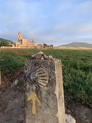 Hiking the Camino de Santiago across Spain.