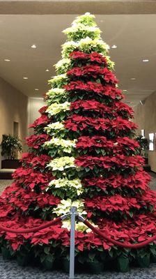 Twinkling Poinsettias Tree - love it! (2019)