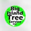 Big Island Tree Service Inc