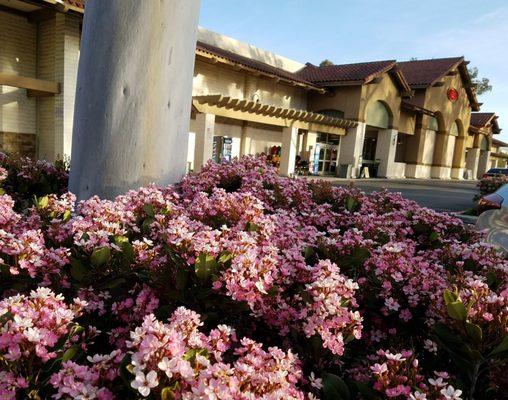 Conejo Valley Plaza Shopping Center