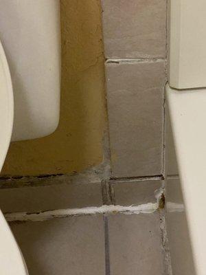 Mold beside toilet and shower