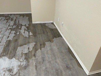 Living room.  Water drying in place after flooding.