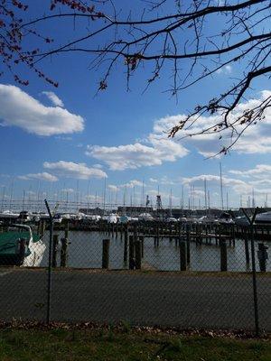 Tidewater Marina