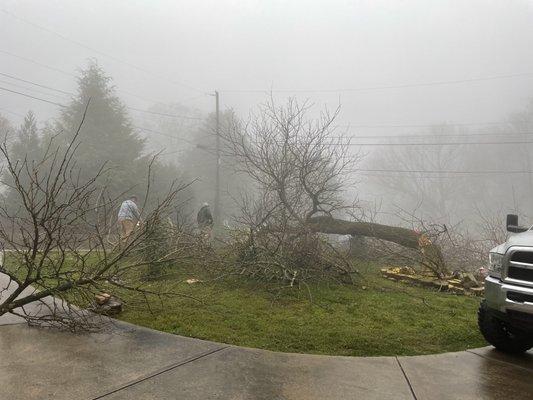 All American Tree Service