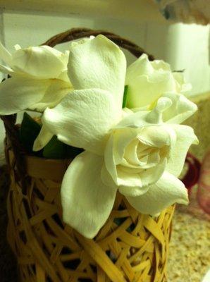 Gardenia is a very sweet  smelling flower and very easy to grow in your yard in the ground or in a pot.