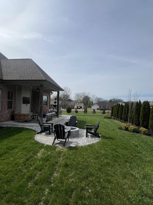 Overall view and new sod, new plants and trees