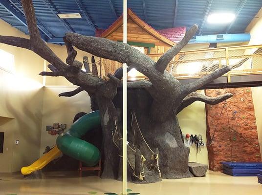 Your Children at Treehouse Rehab... Climbing to Greater Heights