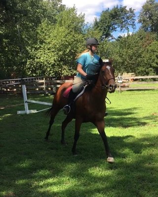 Flicka, a 9 year old Thoroughbred.