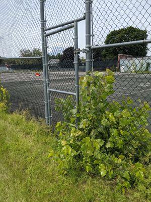 the door was overrun by weeds, looks like an abandoned parking lot