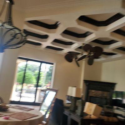 Painted very high cieling and walls windermere fl