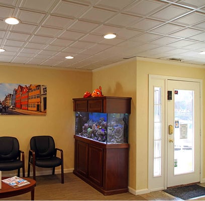 Our waiting room and saltwater fish tank