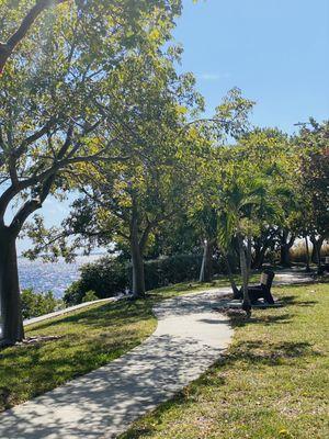 Short paved walkway & tree shade