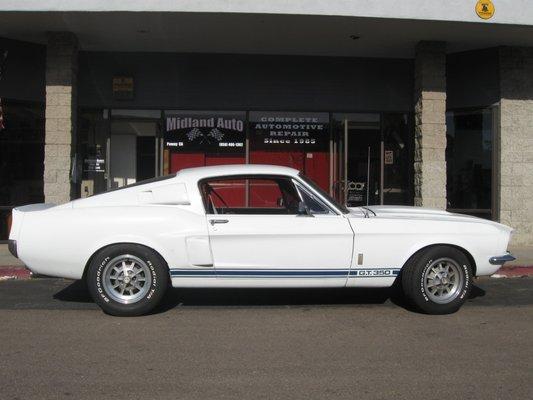 1967 Shelby GT350