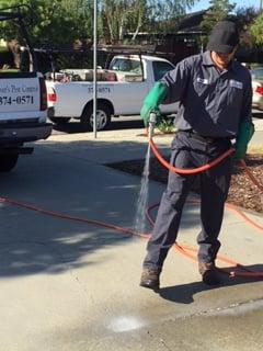 Powerspraying crack and crevices of driveway and sidewalks