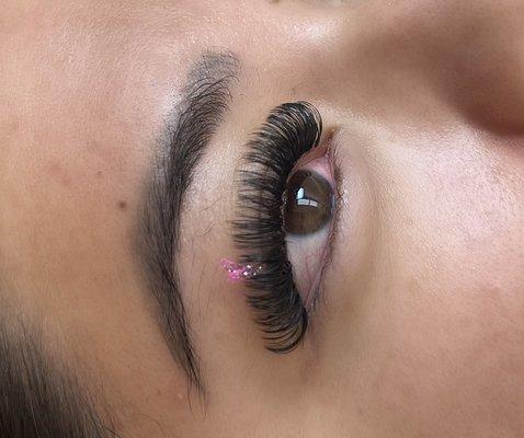 Volume lashes