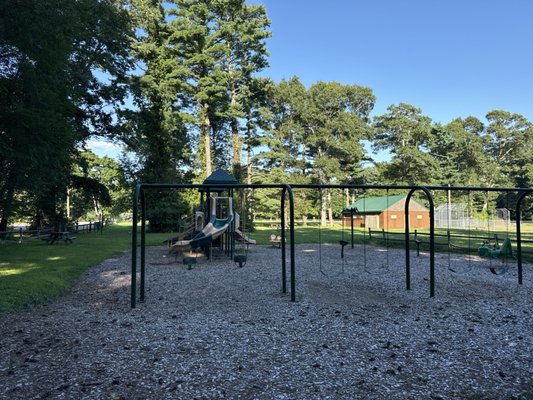 Kid swings and jungle gym