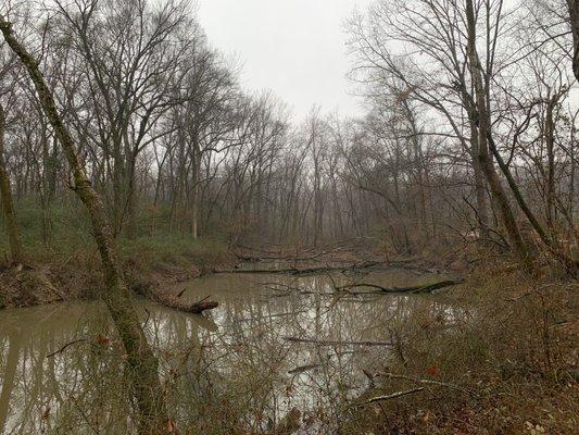 Wolf River Greenway - Kennedy Park