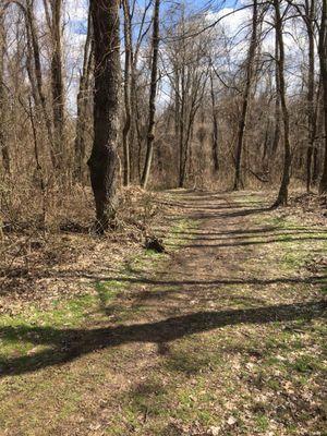 Another bike trail